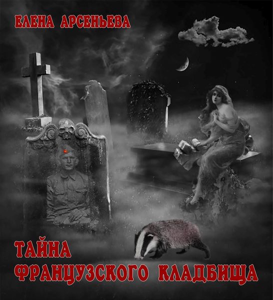 Обложка книги  «Тайна французского кладбища»