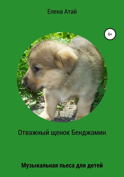 Обложка книги «Отважный щенок Бенджамин. Музыкальная пьеса для детей»