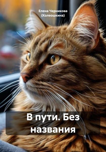 Обложка книги  «В пути. Без названия»