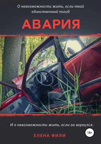 Обложка книги  «Авария»