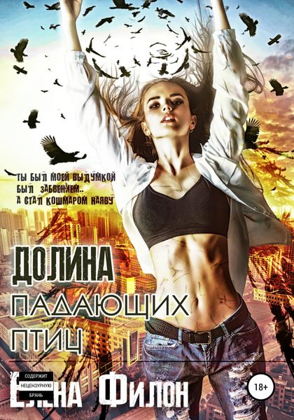 Обложка книги  «Долина падающих птиц»