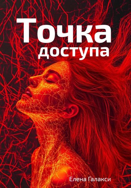 Обложка книги «Точка доступа»