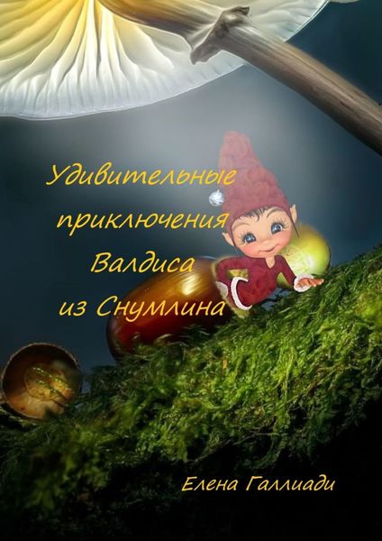 Обложка книги «Удивительные приключения Валдиса из Снумлина»