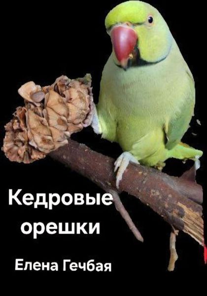 Обложка книги «История Изи Изумрудного. Кедровые орешки»