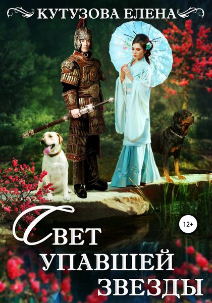 Обложка книги «Свет упавшей звезды»