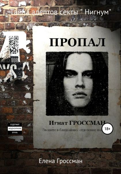 Обложка книги  «Тайна адептов секты «Нигнум». Часть 2»