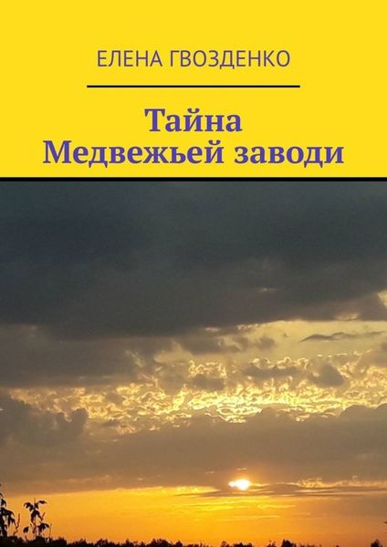 Обложка книги  «Тайна Медвежьей заводи»