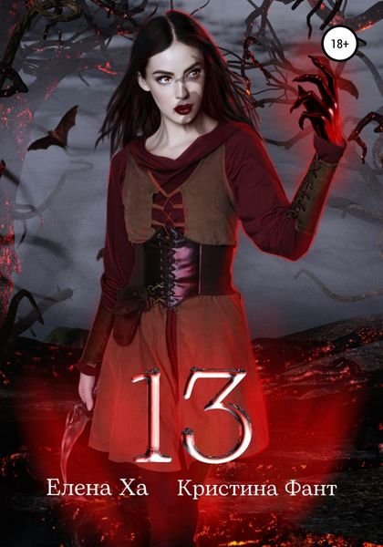 Обложка книги  «13»