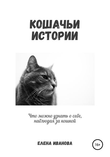 Обложка книги  «Кошачьи истории»
