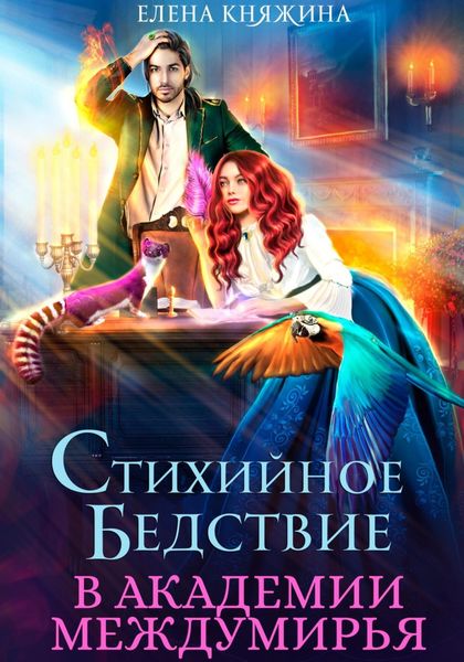 Обложка книги  «Стихийное бедствие в Академии Междумирья»