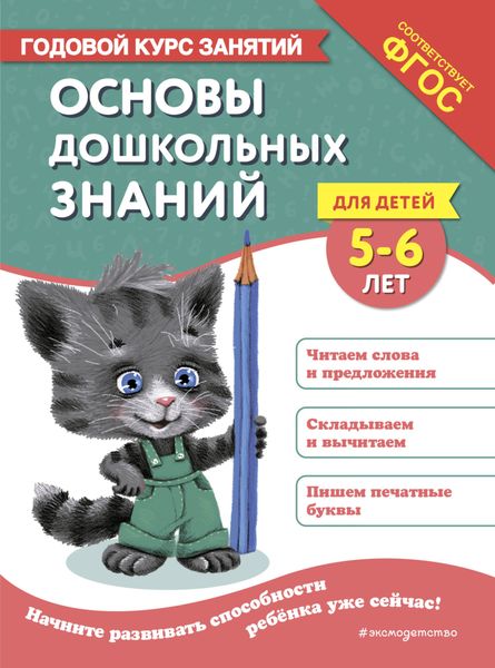 Обложка книги  «Основы дошкольных знаний для детей 5-6 лет. Годовой курс занятий»
