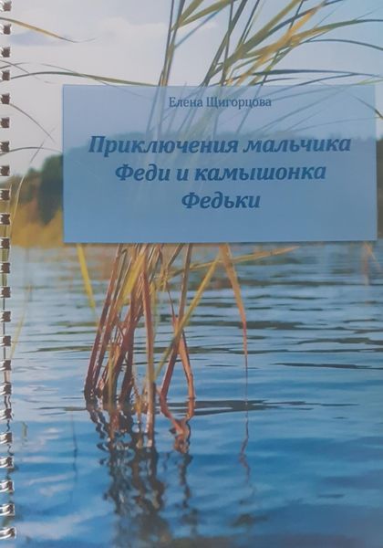 Обложка книги  «Приключения мальчика Феди и камышонка Федьки»