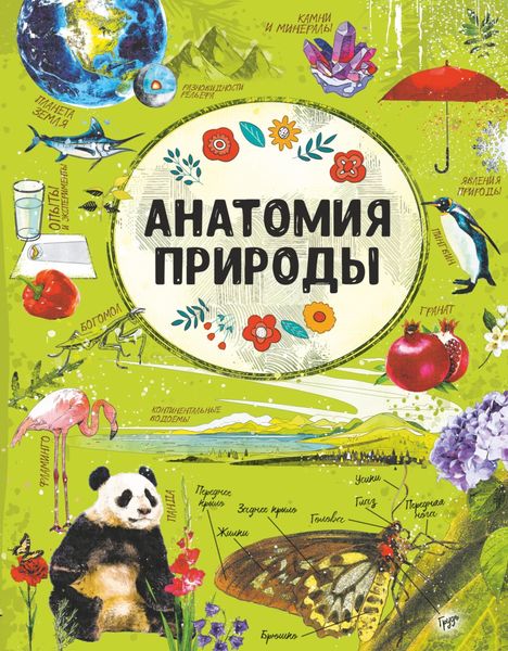 Обложка книги «Анатомия природы»