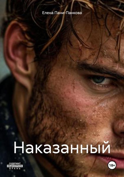 Обложка книги  «Наказанный»