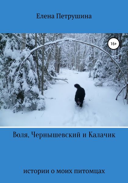Обложка книги  «Воля, Чернышевский и Калачик»