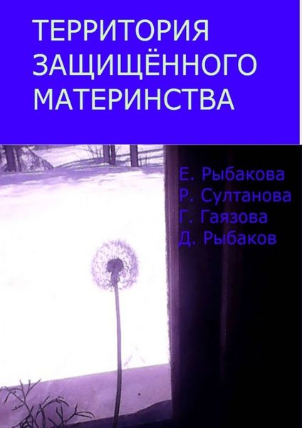 Обложка книги «Территория защищённого материнства»