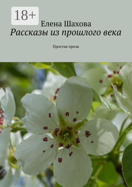 Обложка книги  «Рассказы из прошлого века. Простая проза»