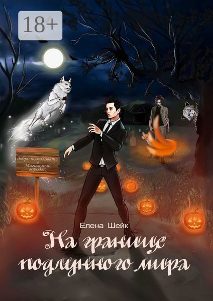 Обложка книги «На границе подлунного мира»