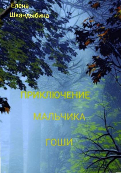 Обложка книги  «Приключение мальчика Гоши»