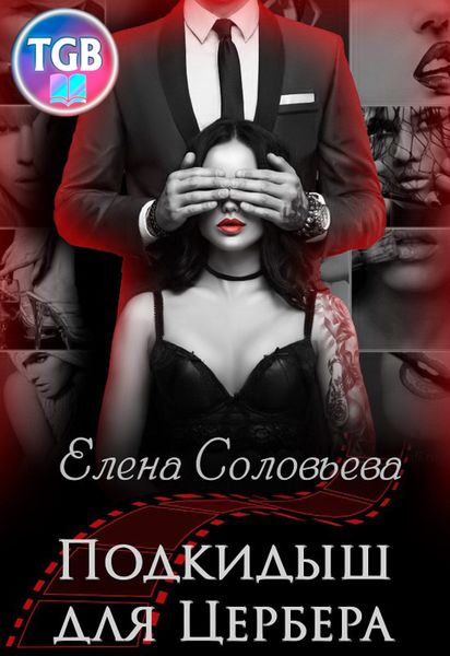 Обложка книги «Подкидыш для Цербера»