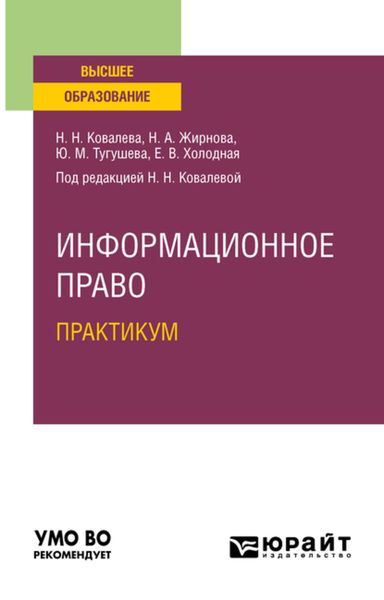 Обложка книги «Информационное право. Практикум. Учебное пособие для вузов»