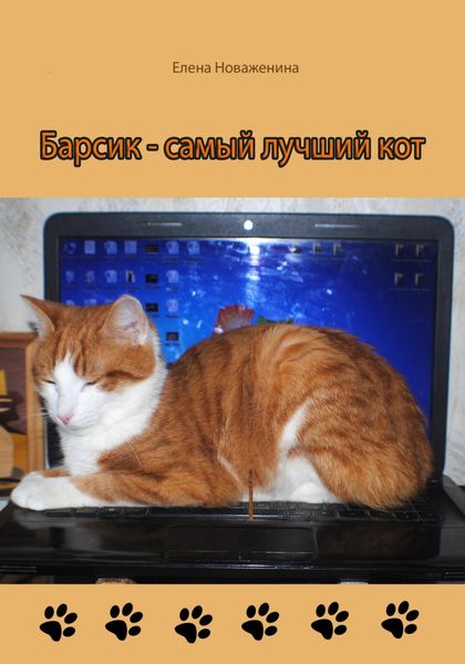 Обложка книги  «Барсик – самый лучший кот»