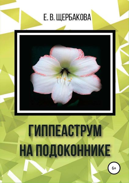 Обложка книги  «Гиппеаструм на подоконнике»