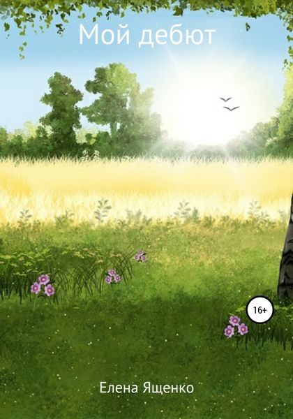 Обложка книги «Мой дебют»
