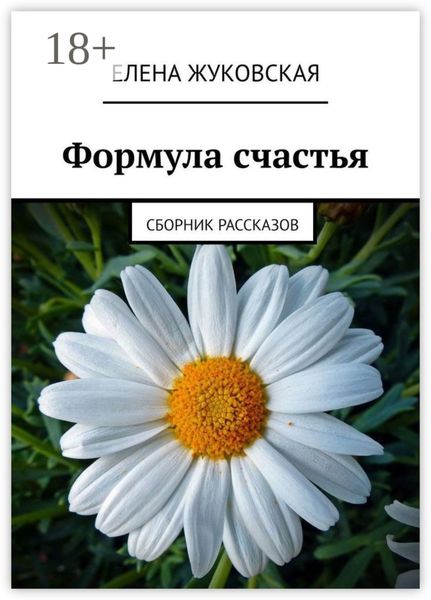 Обложка книги  «Формула счастья. Сборник рассказов»