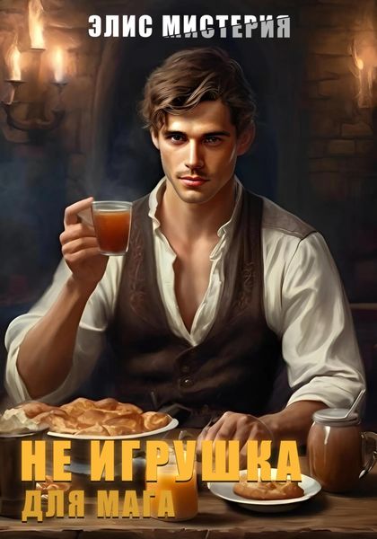 Обложка книги  «Не игрушка для мага»