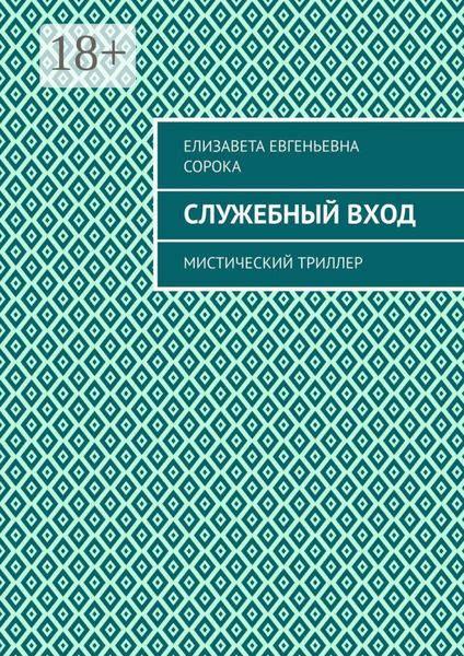 Обложка книги  «Служебный вход. Мистический триллер»
