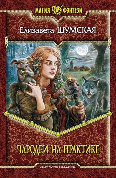 Обложка книги «Чародеи на практике»