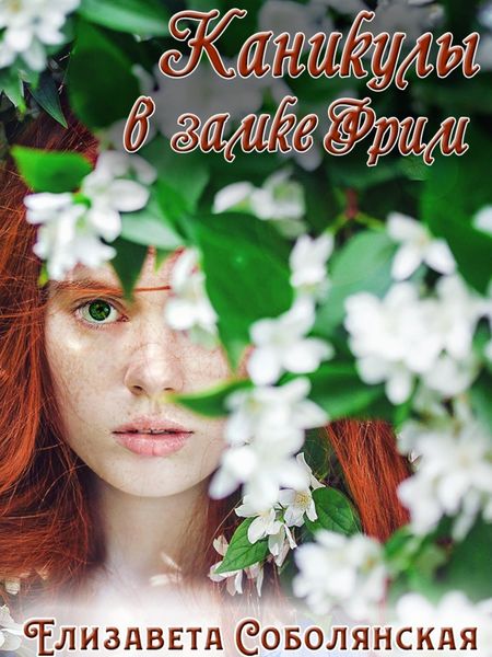 Обложка книги  «Каникулы в замке Фрим»