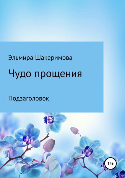 Обложка книги  «Чудо прощения»