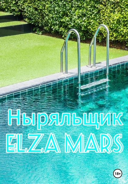 Обложка книги  «Ныряльщик»