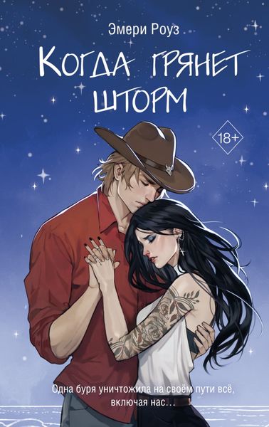 Обложка книги  «Когда грянет шторм»