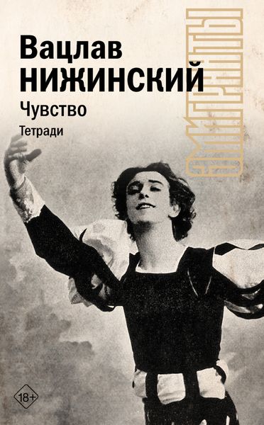 Обложка книги  «Чувство. Тетради»