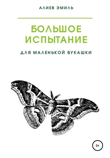 Обложка книги  «Большое испытание для маленькой букашки»