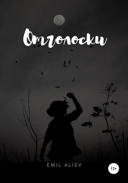 Обложка книги  «Отголоски»