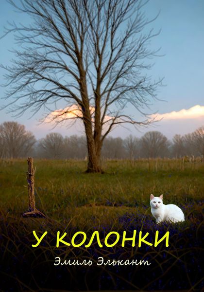 Обложка книги  «У колонки»