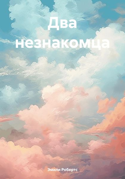 Обложка книги  «Два незнакомца»