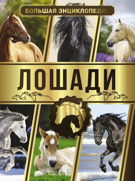 Обложка книги «Большая энциклопедия. Лошади»