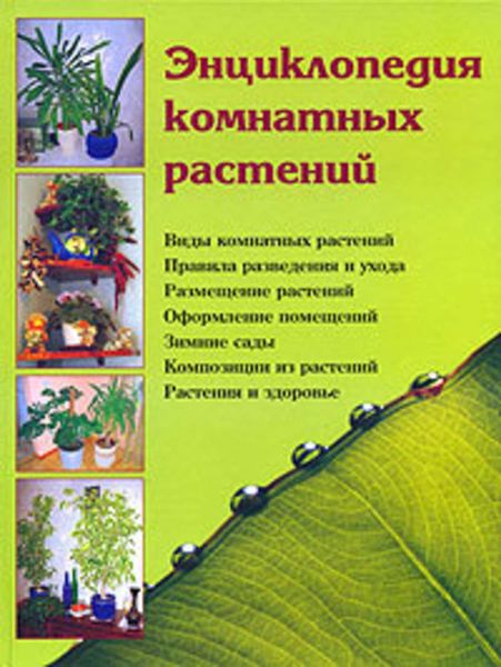 Обложка книги  «Энциклопедия комнатных растений»