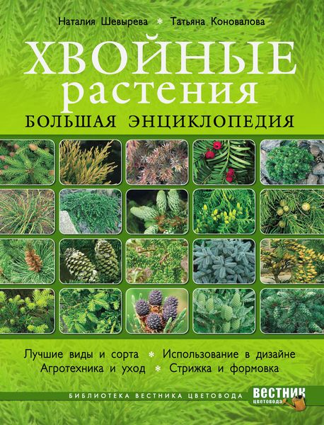 Обложка книги  «Хвойные растения. Большая энциклопедия»