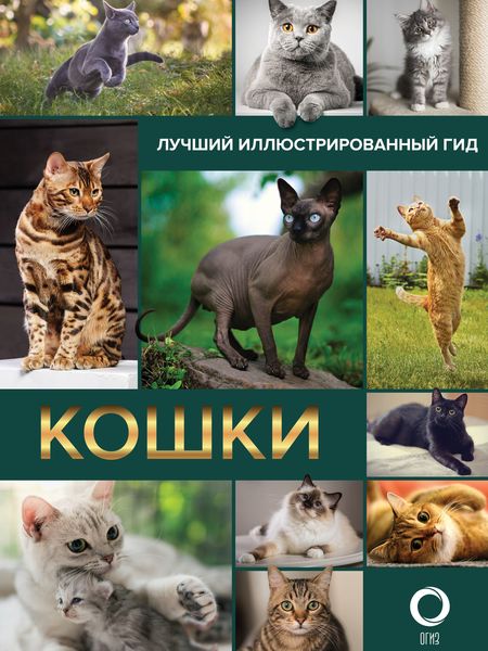 Обложка книги  «Кошки»