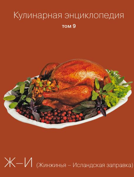 Обложка книги «Кулинарная энциклопедия. Том 9. Ж-И (Жинжинья – Исландская заправка)»