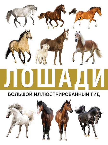 Обложка книги  «Лошади»