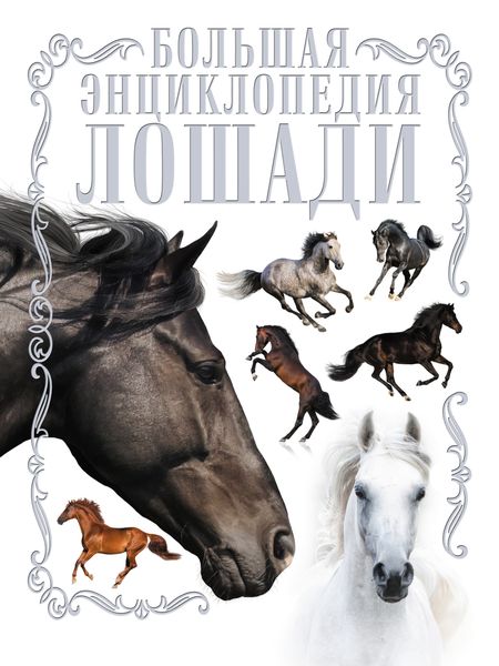 Обложка книги «Лошади. Большая энциклопедия»