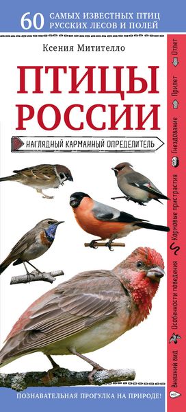 Обложка книги  «Птицы России. Наглядный карманный определитель»