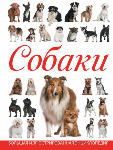 Обложка книги «Собаки»